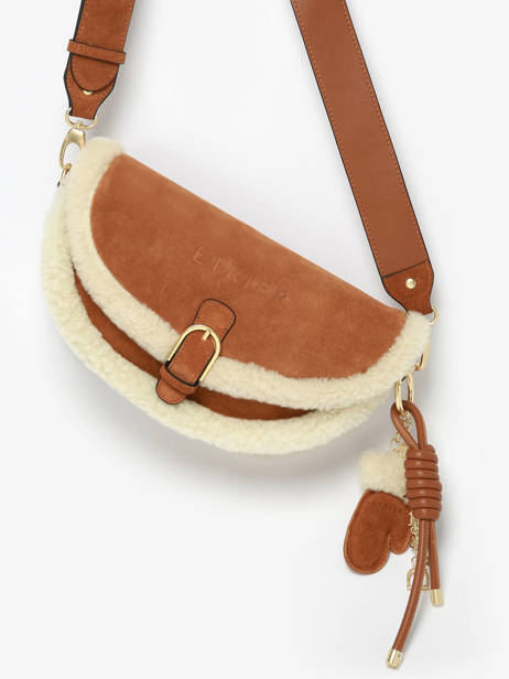 Shoulder Bag Alpin Leather Etrier Brown alpin EALP050S other view 2